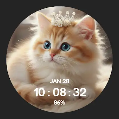 Fluffy Cute Cat screenshot 1