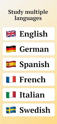 Vocabulary flashcards: Vocabuo screenshot 3
